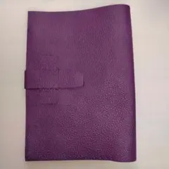 Item thumbnail for item 948775bc-d401-4d1c-94dd-c9e87b5ab446