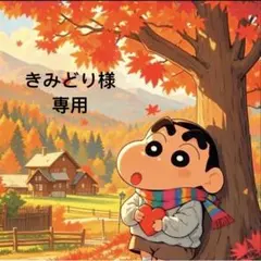 きみどり様 リクエスト 8点 まとめ商品