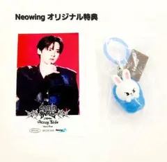 Neowing特典 ポラロイド skzoo めじるし フィリックス ピリ ポガリ