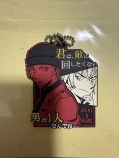 名探偵コナン　キーホルダー　安室　赤井　シークレット