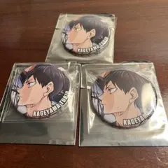 ハイキュー ゴミ捨て場の決戦 キャラバッジコレクションB 影山飛雄