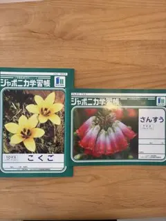 ジャポニカ学習帳 こくご・さんすう 2冊セットのサムネイル