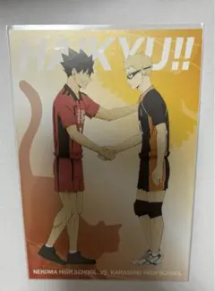 アニメイト 特典 ポストカード ハイキュー 黒尾 月島