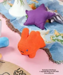 dick bruna beams 別注 ふわモコミニ dick bruna beams 別注 ふわモコミニ - メルカリ