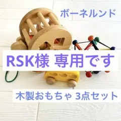 ボーネルンド】木製おもちゃ3点セット カラフルプルトーイ 知育玩具