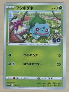 ポケモンGO フシギダネ　プロモ