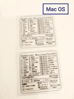 Item thumbnail for item 538f48c0-1b3b-417a-a083-a4b09f480a56