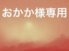 おかか様専用
