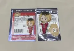 ハイキュー 鳴門鯛焼本舗 孤爪研磨 アクスタ カード