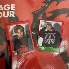 武知海青 岩谷翔吾 フォトカード セット