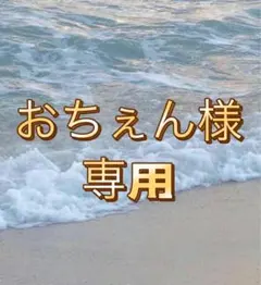 もれなくおまけも付きます おちぇん様専用　　3枚セット タトゥーシール