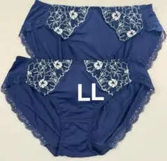 トリンプ　美胸フィットブラ　アザレアの花　レギュラーショーツ　ネイビー2枚/LL