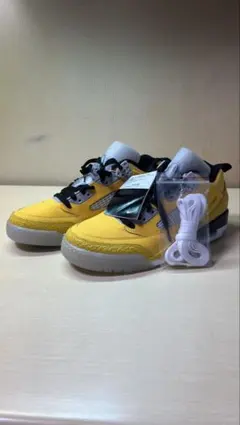 NIKE JORDAN SPIZIKE LOW PRM 27cm スパイジーク