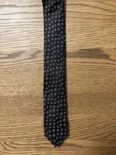 Item thumbnail for item 7c4f66c3-de34-4583-8d2c-c94c02a64e35