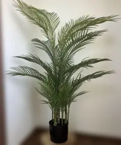 IKEA FEJKA 人工観葉植物 ケンチャヤシ 21cm 8月購入 美品 - メルカリ
