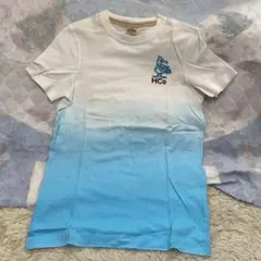 Item thumbnail for item ca58c4c4-ba94-44d8-9fe1-25614d13ad2b