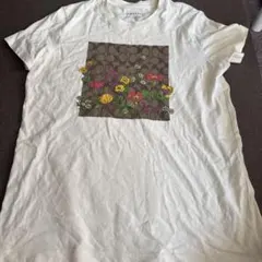 COACH半袖Tシャツのサムネイル