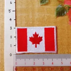 【やーまん様専用】 ワッペン 1枚 国旗 カナダ カエデ メイプル Flag 中
