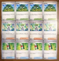 活力の森　むしよけスプレー　メガニウムデッキパーツ　トレーナーズ　12枚セット