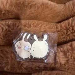ちいかわ×サンリオコラボキーホルダー