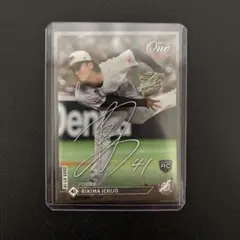 Item thumbnail for item a1a7c778-8874-4b42-8ba8-c4661d712355