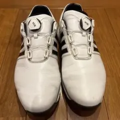 【お値引き可】adidas tour360 xt boaゴルフシューズ ホワイト