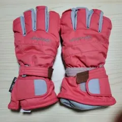スキーグローブ DRI-VENT