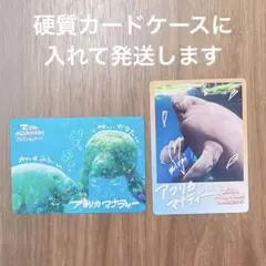 レア 鳥羽水族館 コレクションカード 第2弾 マナティー みらい かなた
