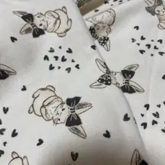 fuwacca うさぎ黒 スムースニット 生地