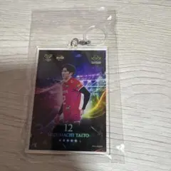 水町泰杜選手 キーホルダー+カード 水町泰杜選手 キーホルダー+カード - メルカリ