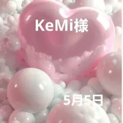 インコパネル生地 ハンドメイド - メルカリ