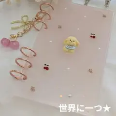 新作セット　リフィル貯金　バインダー　家計簿　節約　韓国