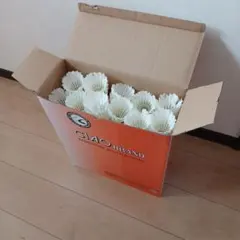 Item thumbnail for item 3d82e78c-188c-405f-b8f6-da31bc810151