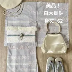 美品！白大島紬 袷 着物 身丈162cm
