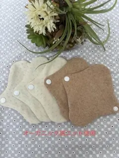 Item thumbnail for item a7406ac7-079e-48cb-8649-05f7c33e1e00