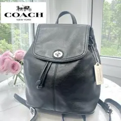 《美品》COACH オールドコーチ リュック レザー シボ革 ターンロック 黒