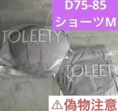 Item thumbnail for item 9a262560-90a2-45d3-9697-5d7a13691ed2