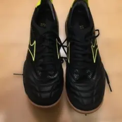 限定版　MIZUNO MORELIA NEO SALA β JAPAN IN