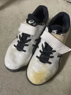 Item thumbnail for item c31ba13e-e57e-4120-bc99-9eeedac103b8