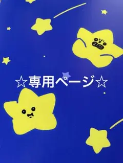 ☆T氏　専用ページ☆