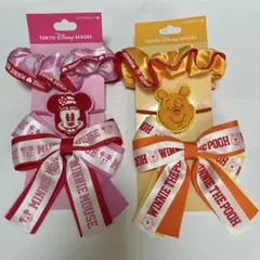 ディズニーヘアゴムセット　ミニー　プーさん
