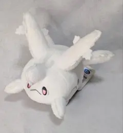 2026年最新】サニーゴ ぬいぐるみの人気アイテム - メルカリ