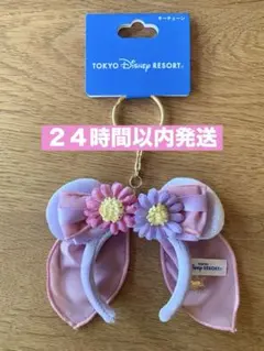 新品タグ付き　ラプンツェル　カチューシャキーチェーン　ファンタジースプリングス