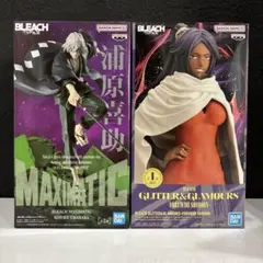 新品未開封 BLEACH フィギュア 四楓院夜一 浦原喜助 2種セット②