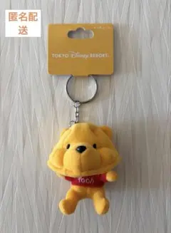 ディズニー　プーさん　ファンキャップ キーチェーン