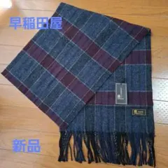 Item thumbnail for item 078053db-552e-4301-855f-13956b3db1d3