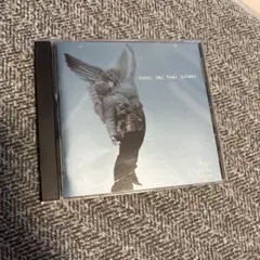 Sunny Day Real Estate The Rising Tide CD