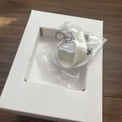 MGA Mrs.GREENAPPLE キーホルダー