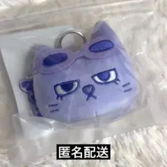 BOYNEXTDOOR テサン BBNEXDO プネクド キーリング テップン