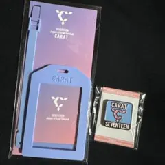 SEVENTEEN ラゲッジタグ ピンバッジ